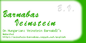 barnabas veinstein business card